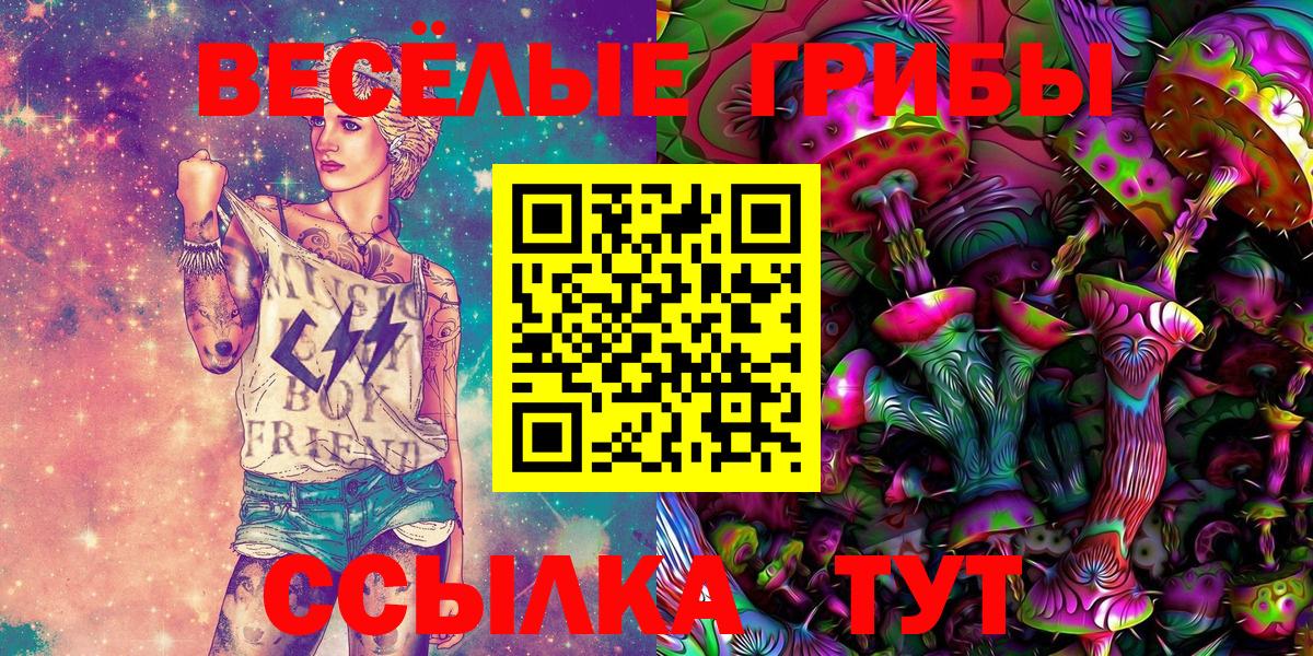 Луга  Галлюциногенные грибы прущие грибы  Вход с VPN 
